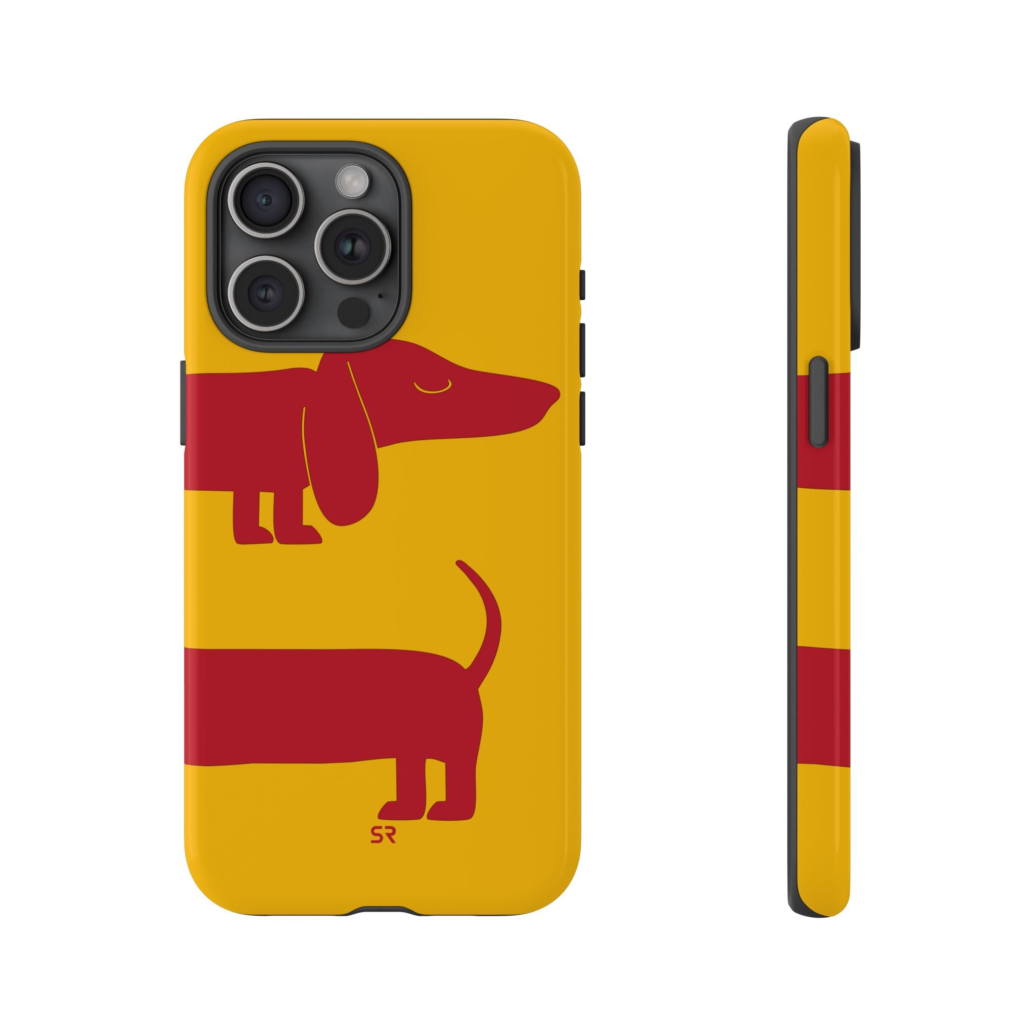 Dachshund