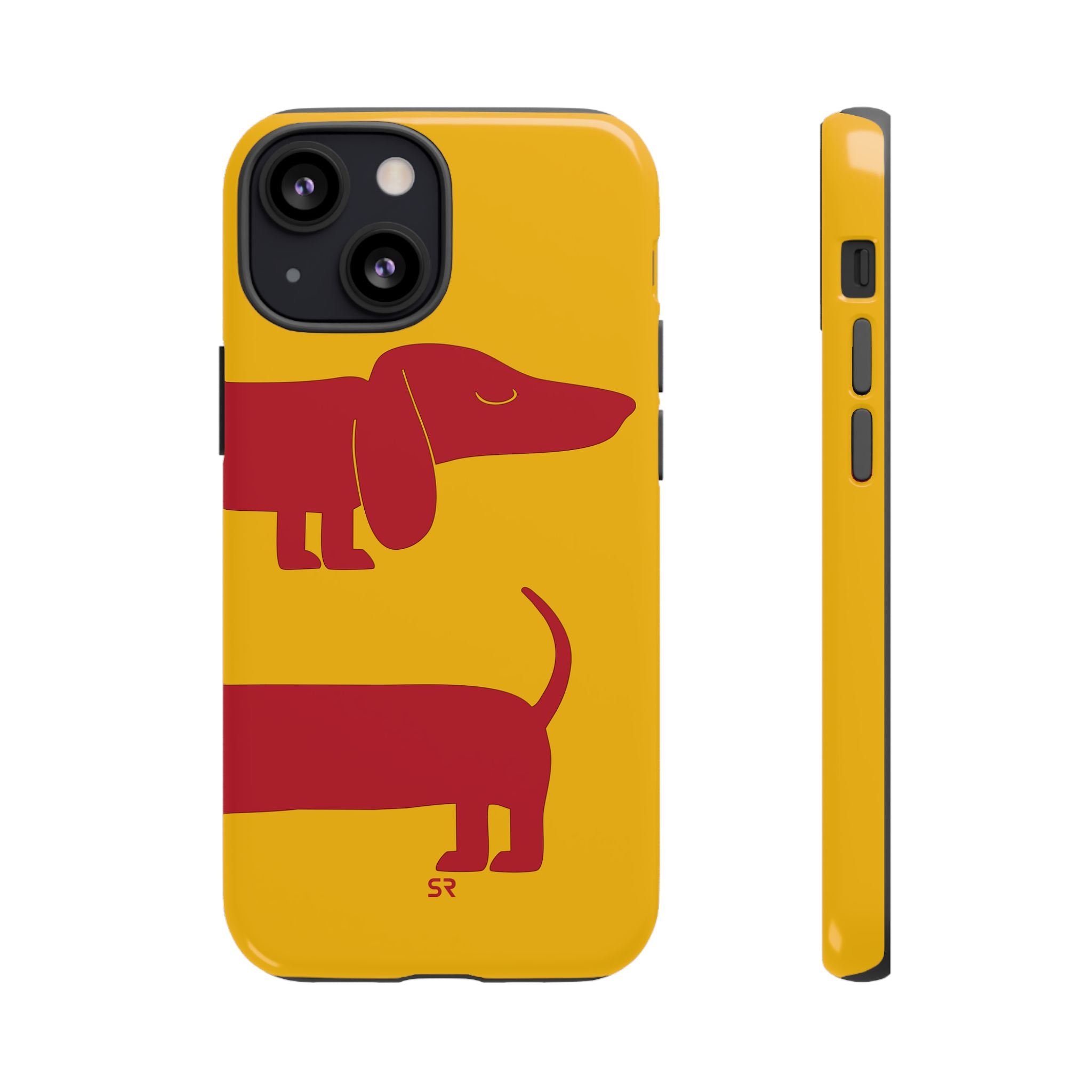 Dachshund