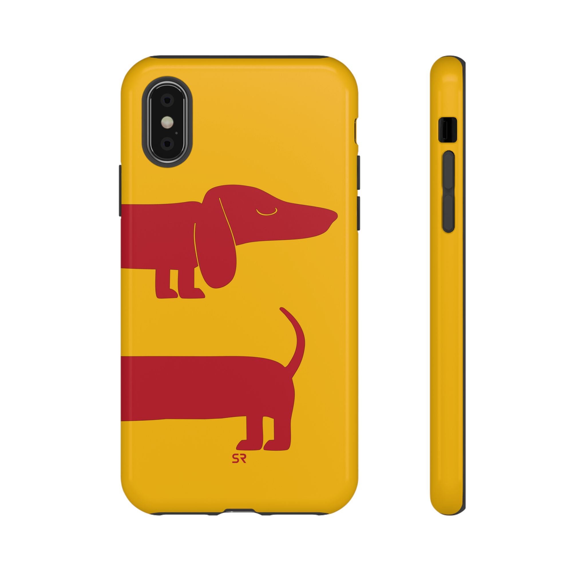 Dachshund