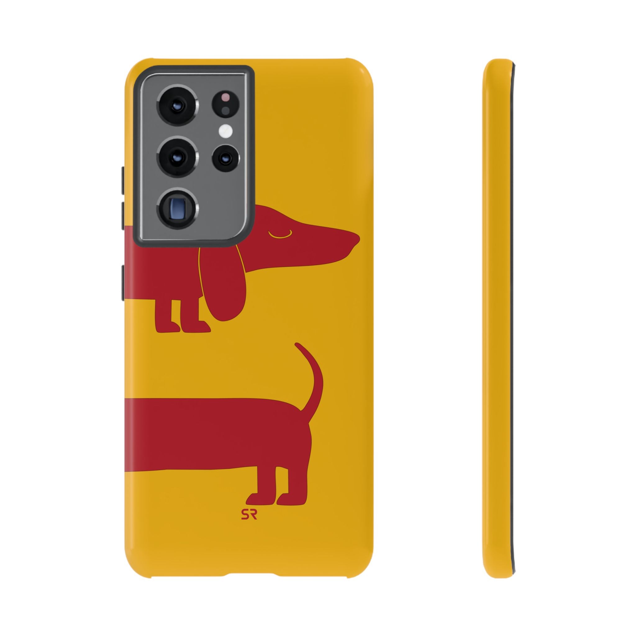 Dachshund