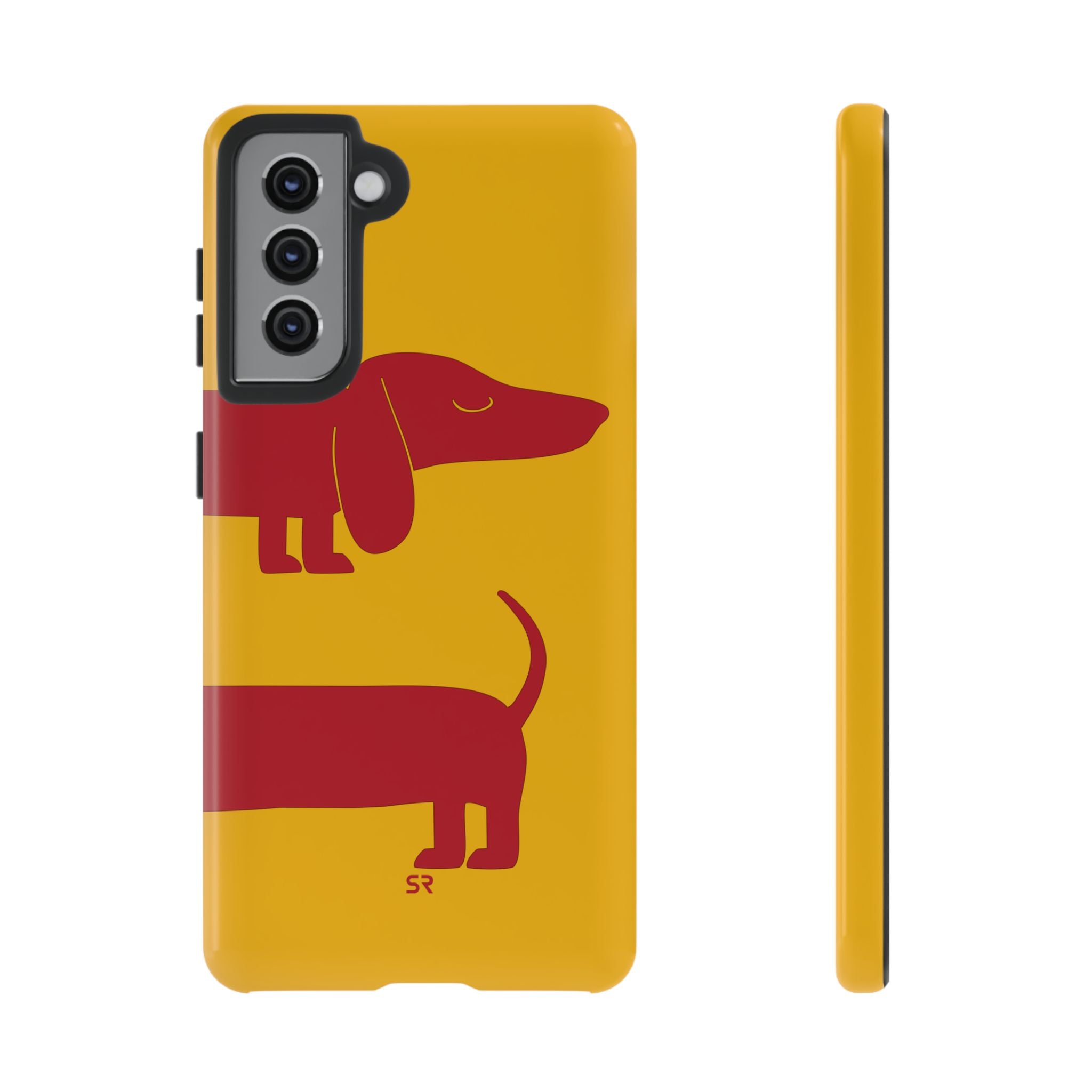 Dachshund