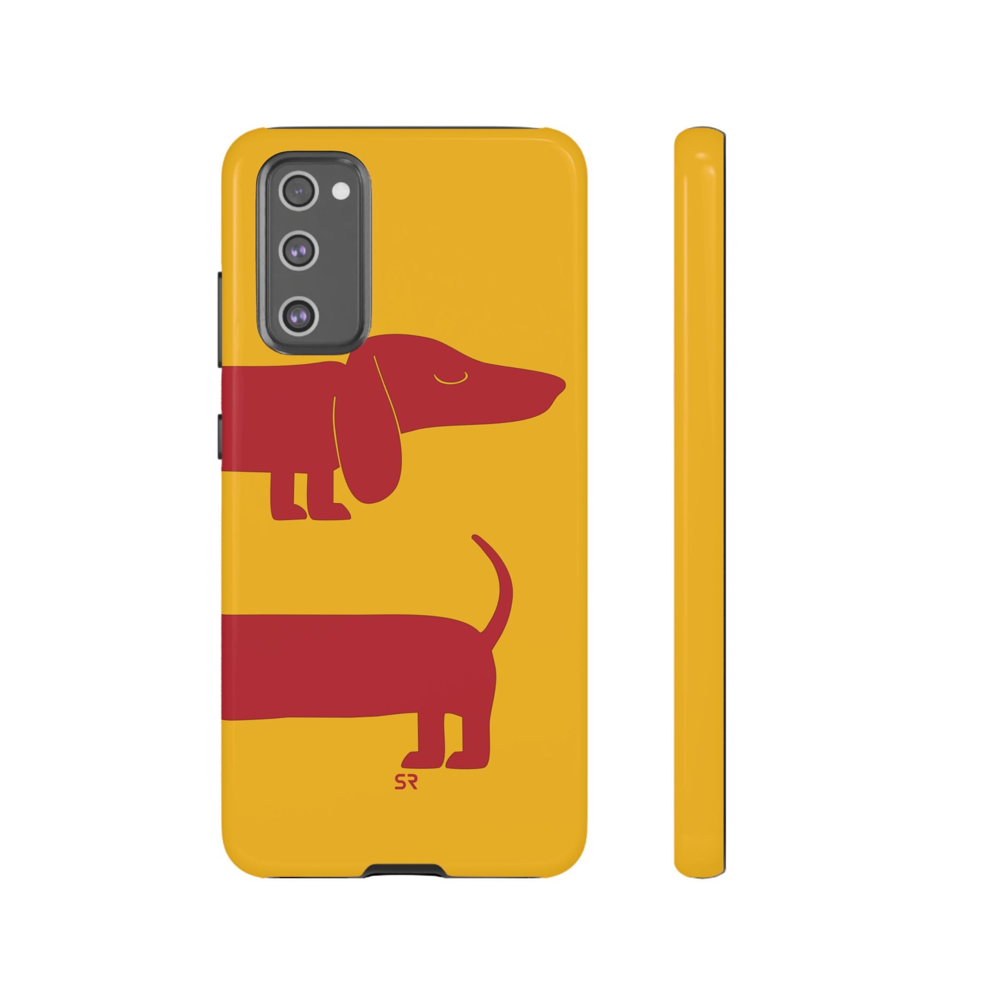 Dachshund