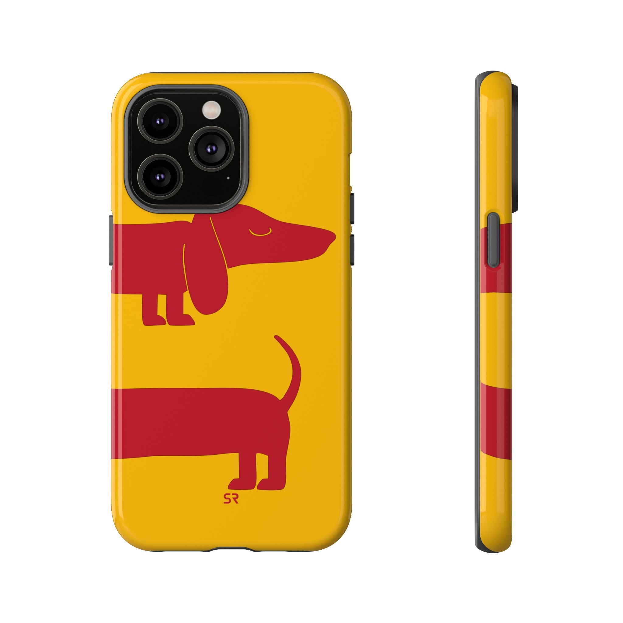 Dachshund