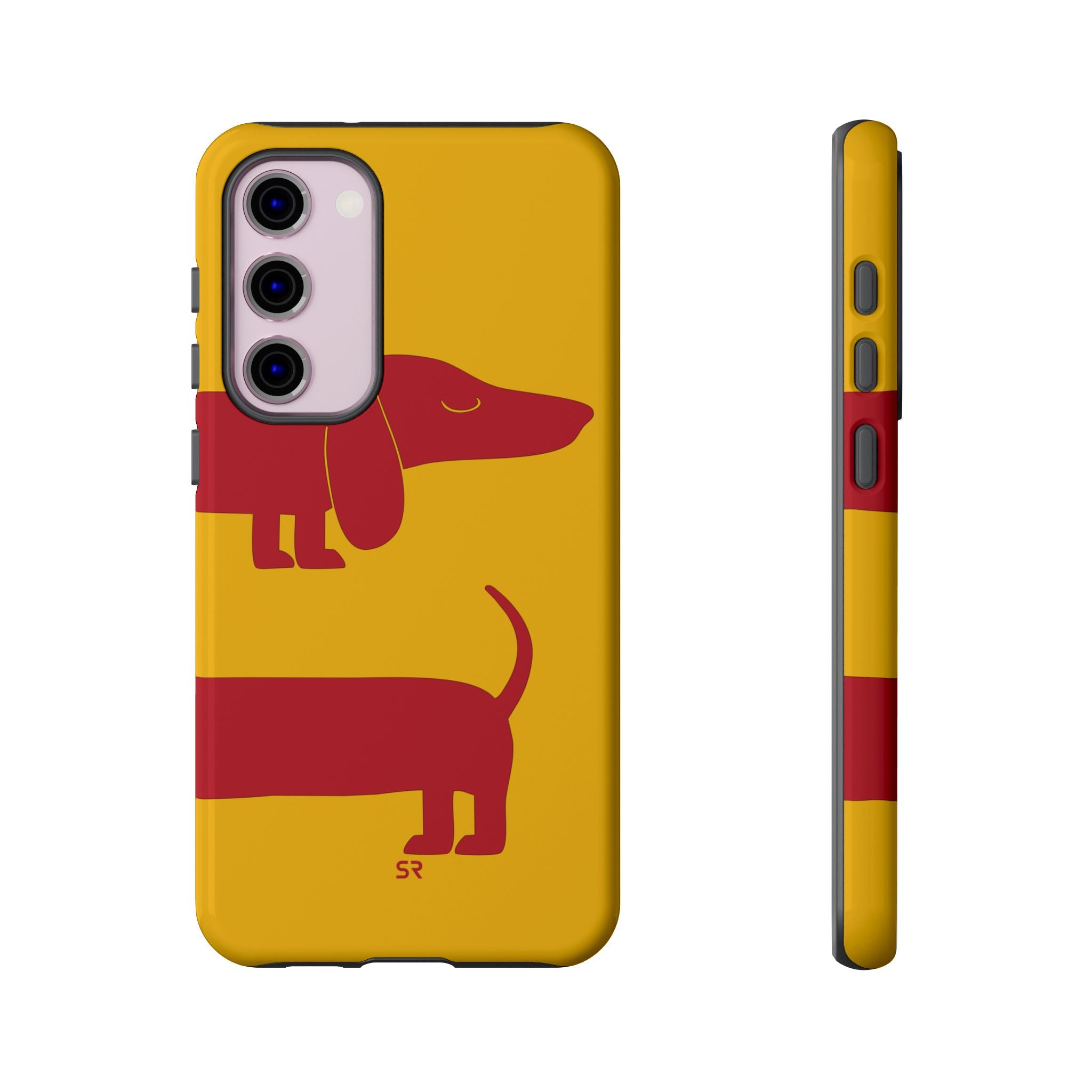 Dachshund