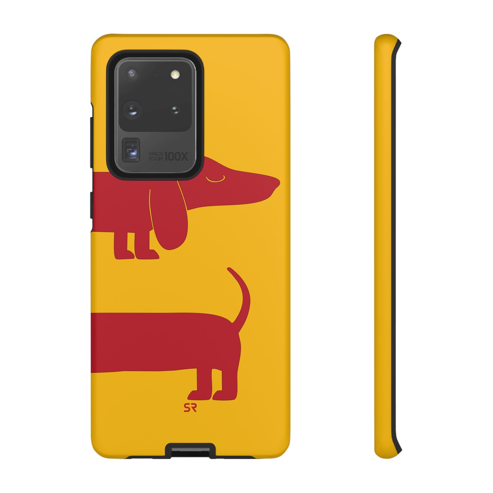 Dachshund