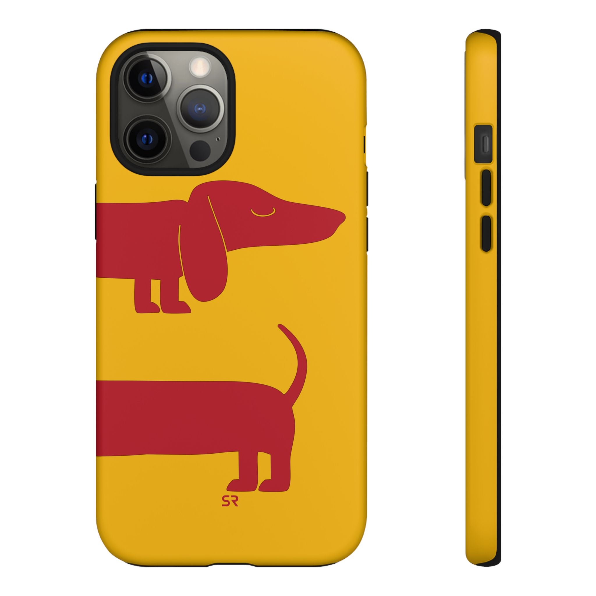 Dachshund