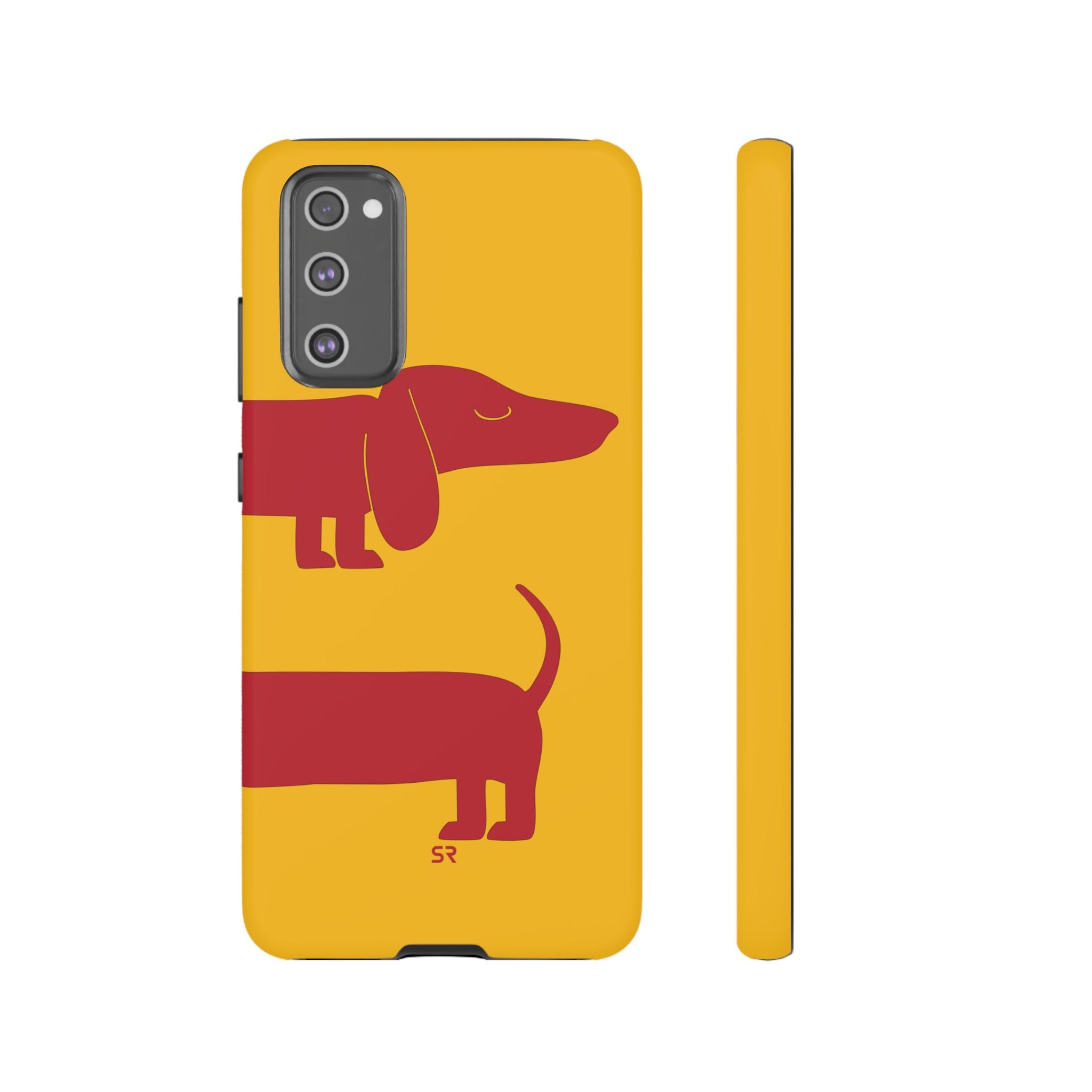 Dachshund