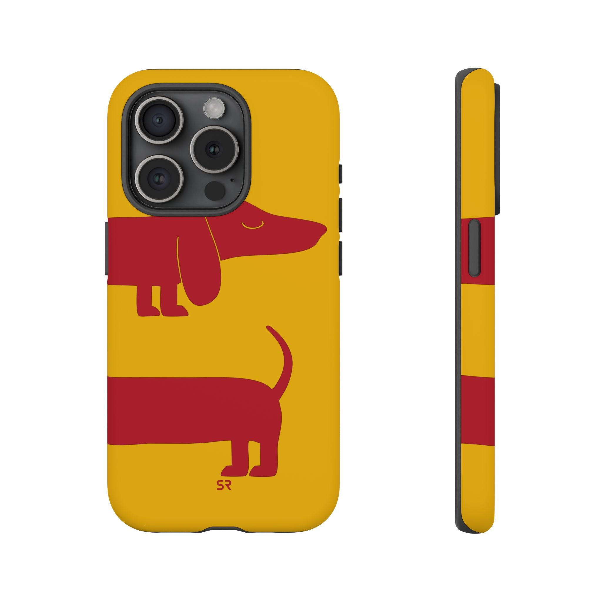 Dachshund