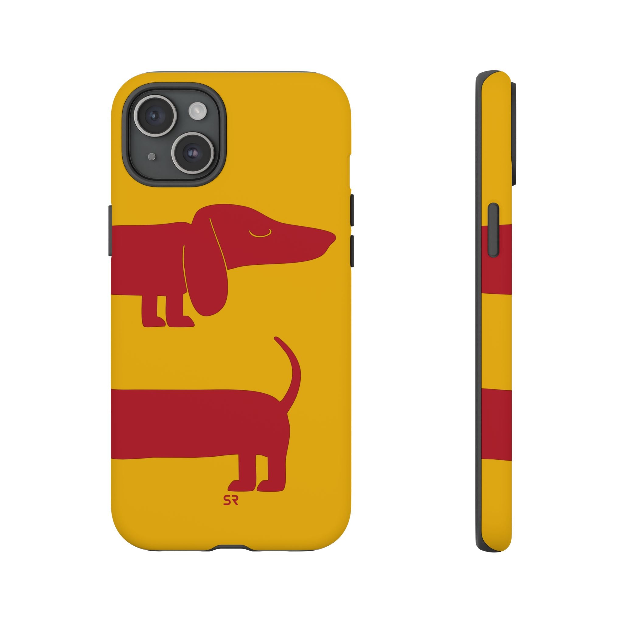 Dachshund