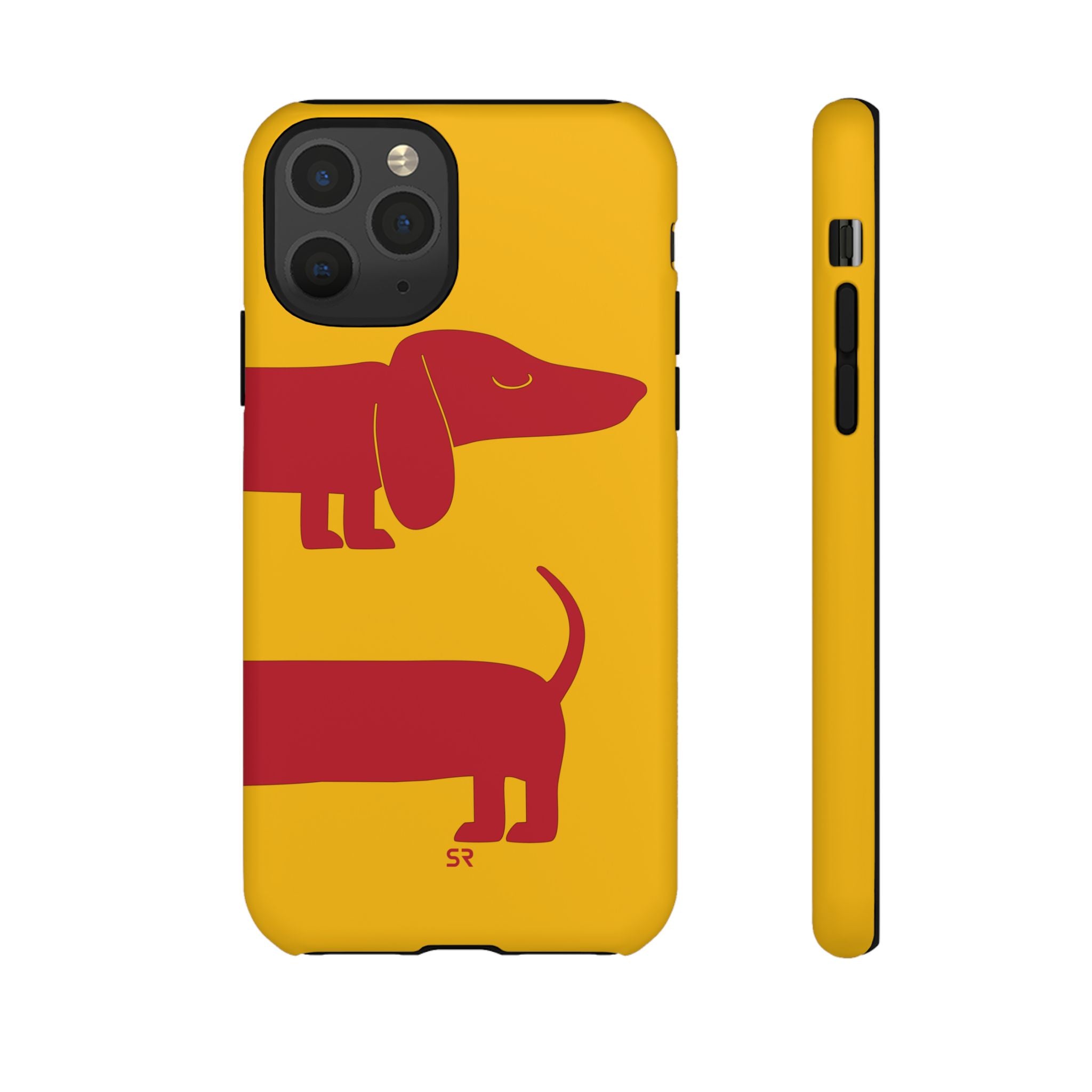 Dachshund