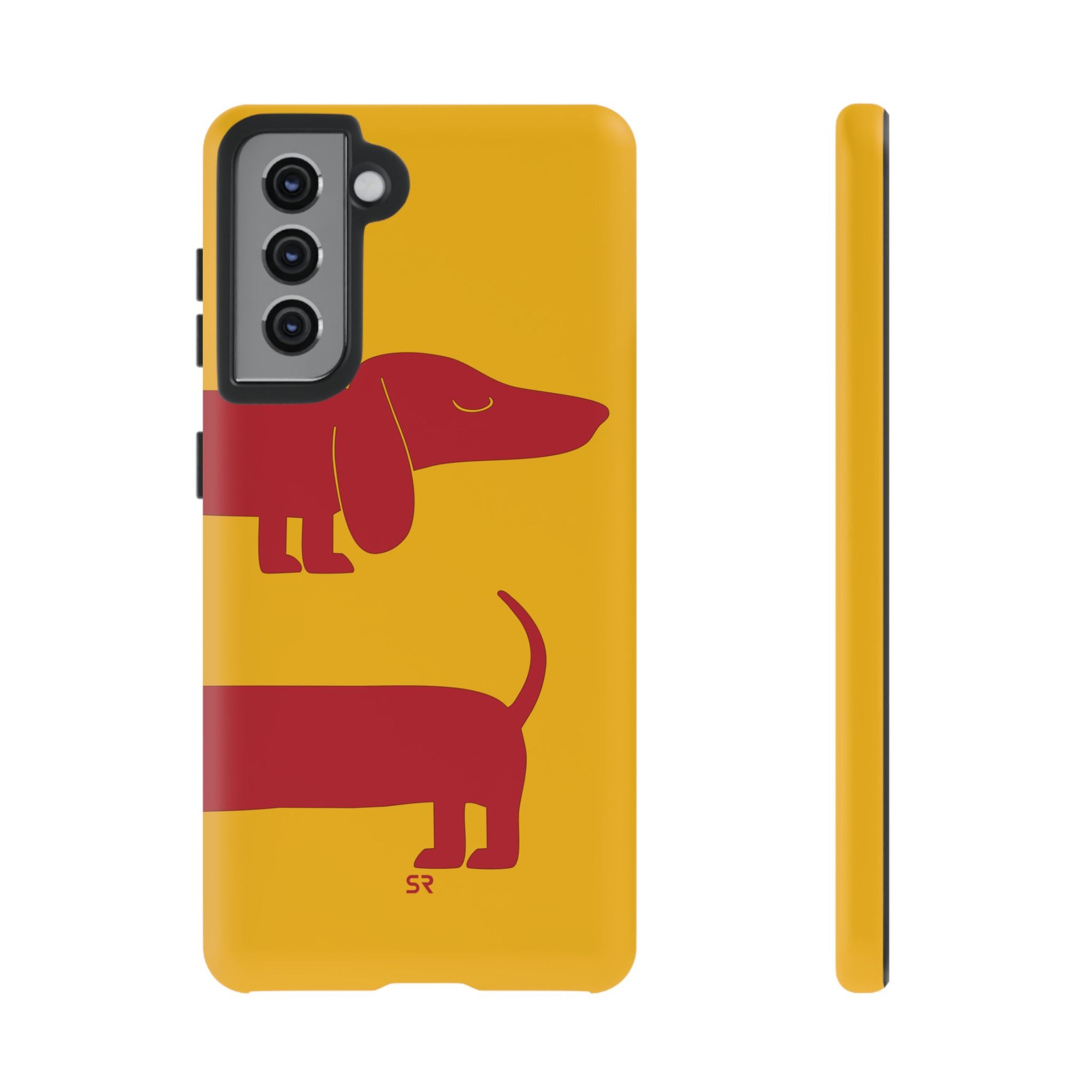 Dachshund