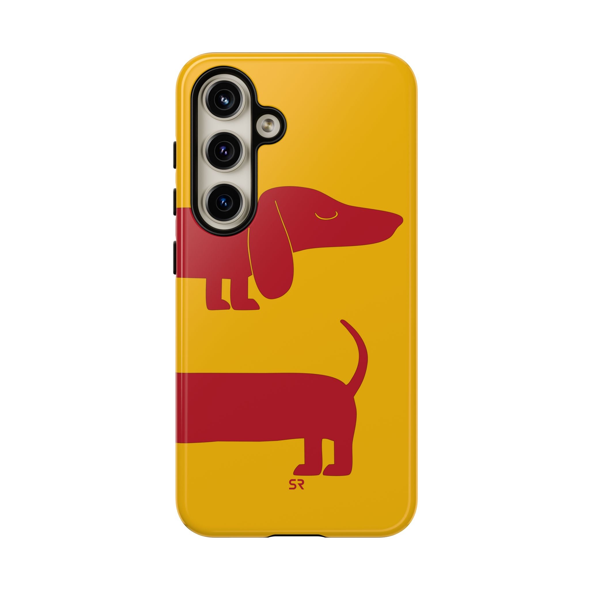 Dachshund