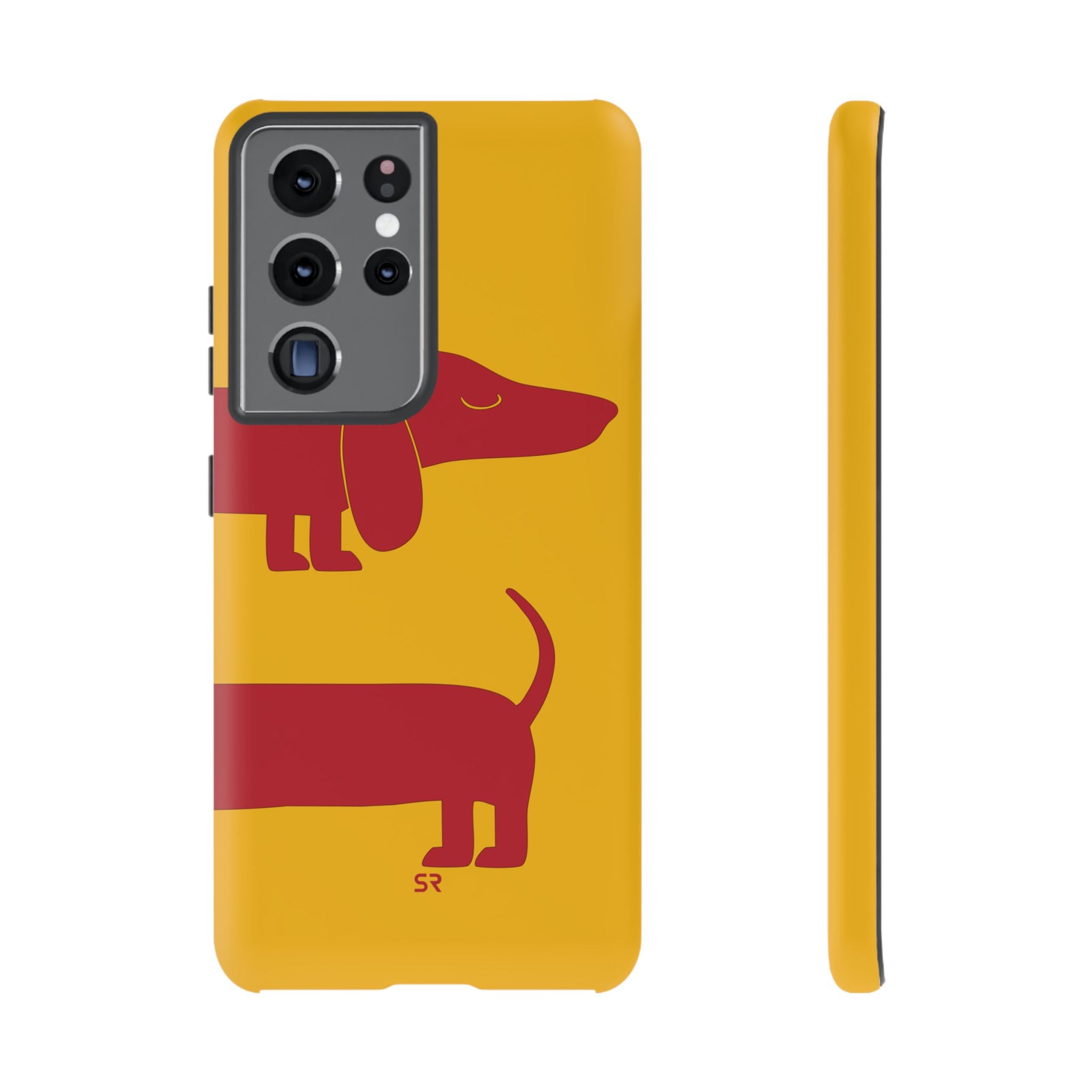 Dachshund