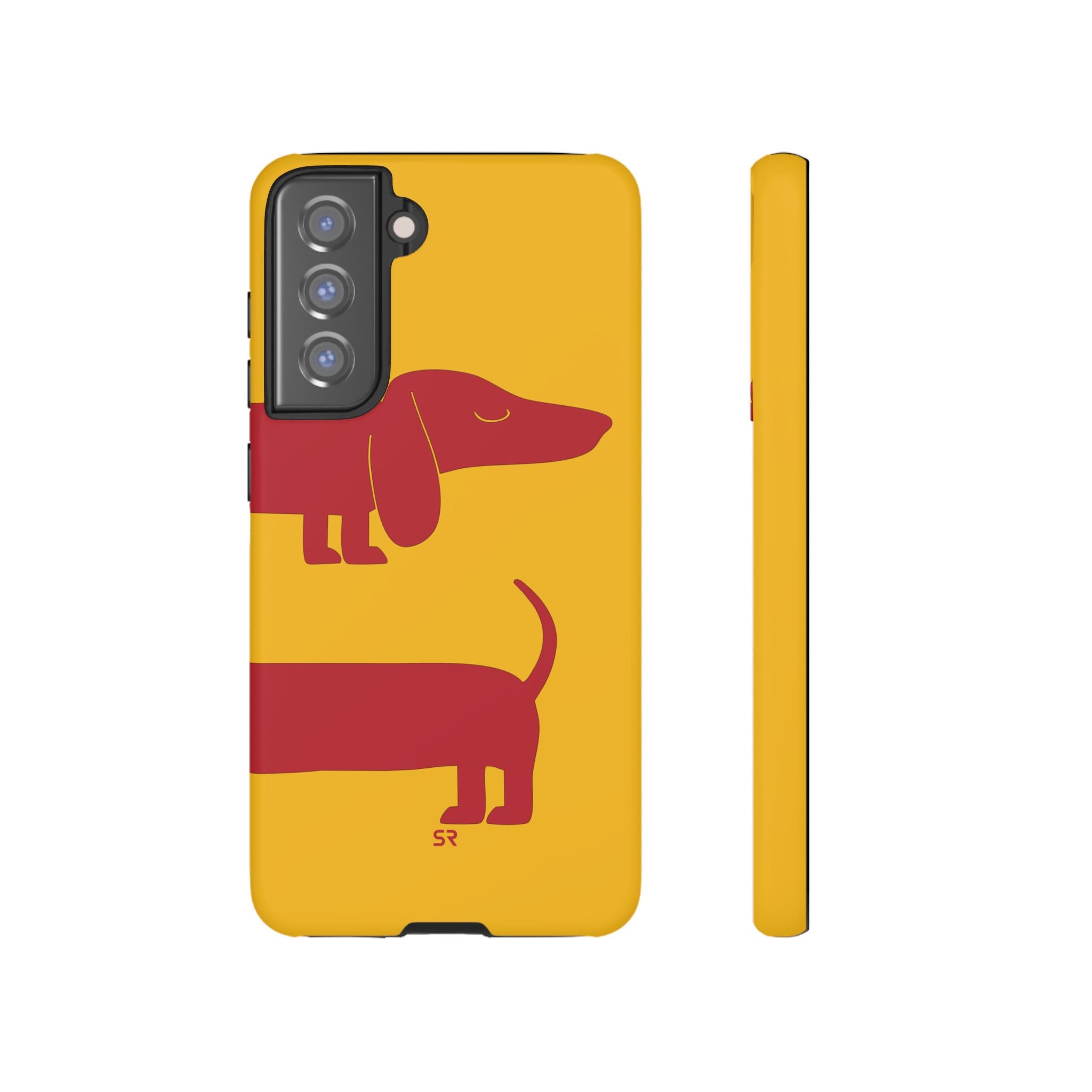 Dachshund