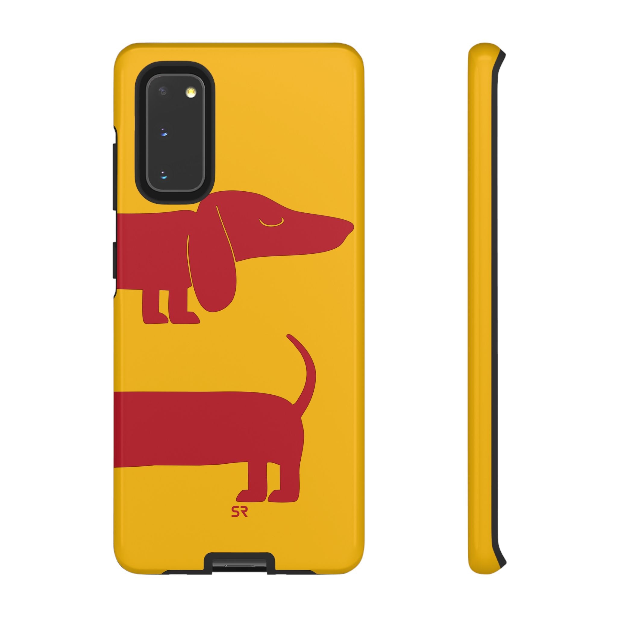 Dachshund