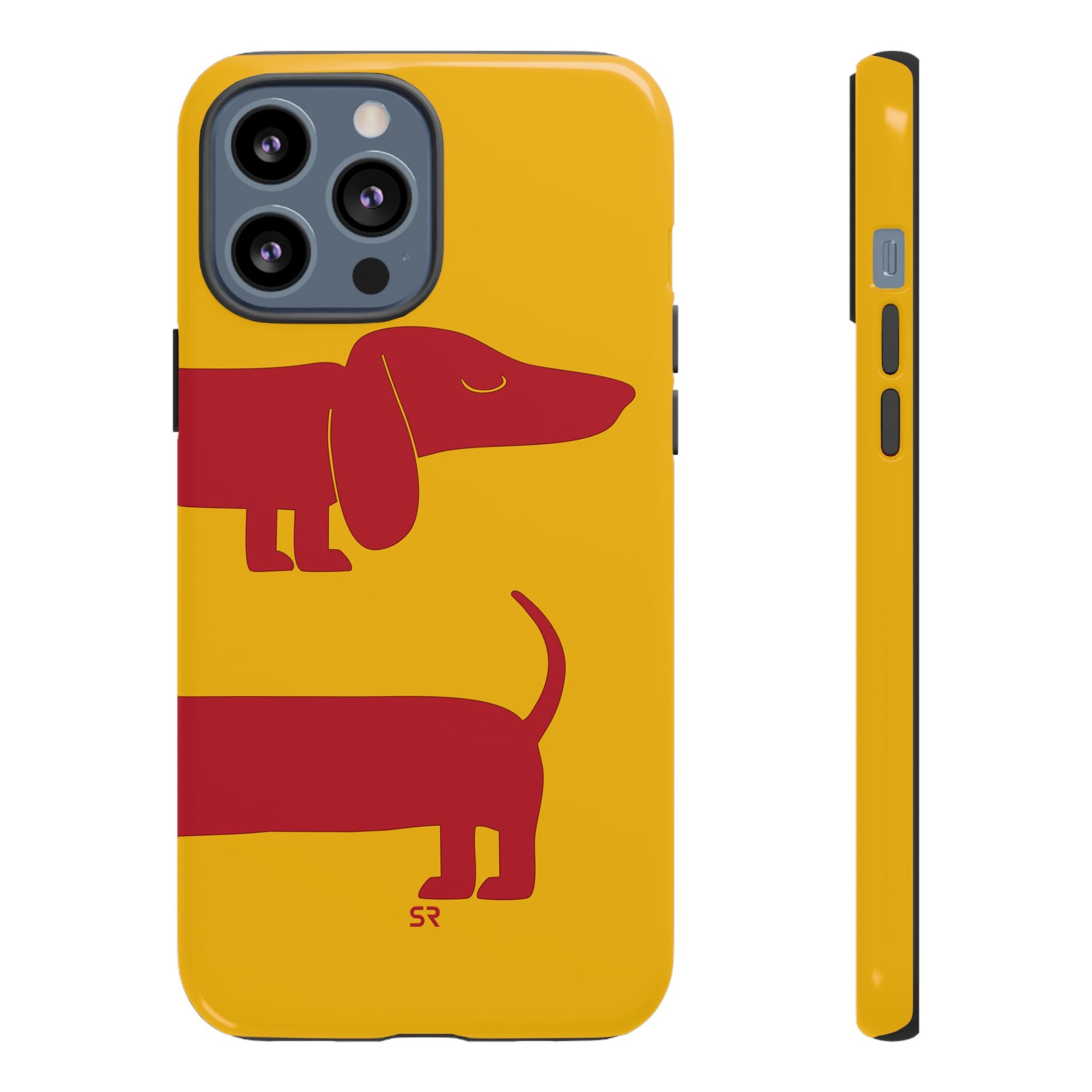 Dachshund