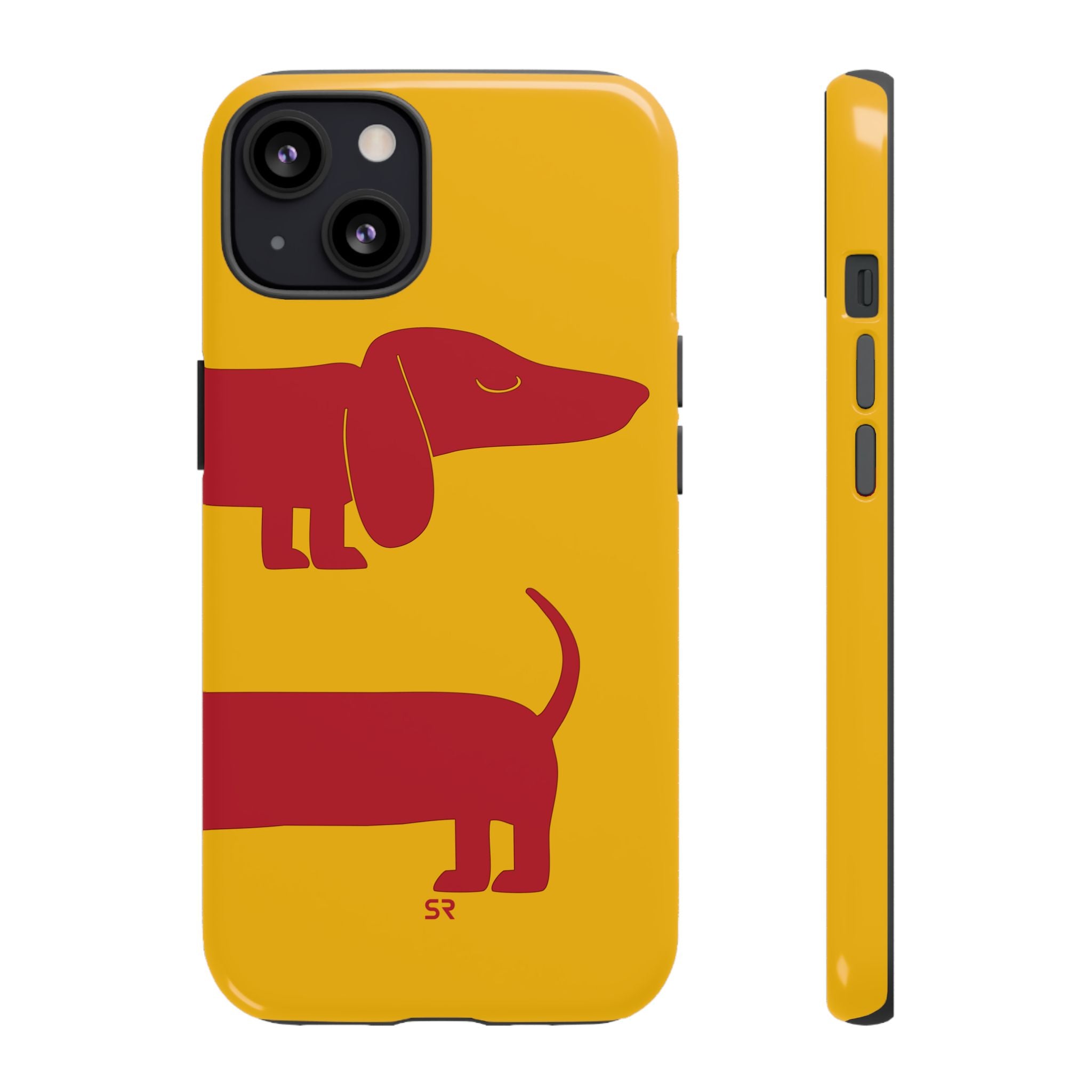 Dachshund