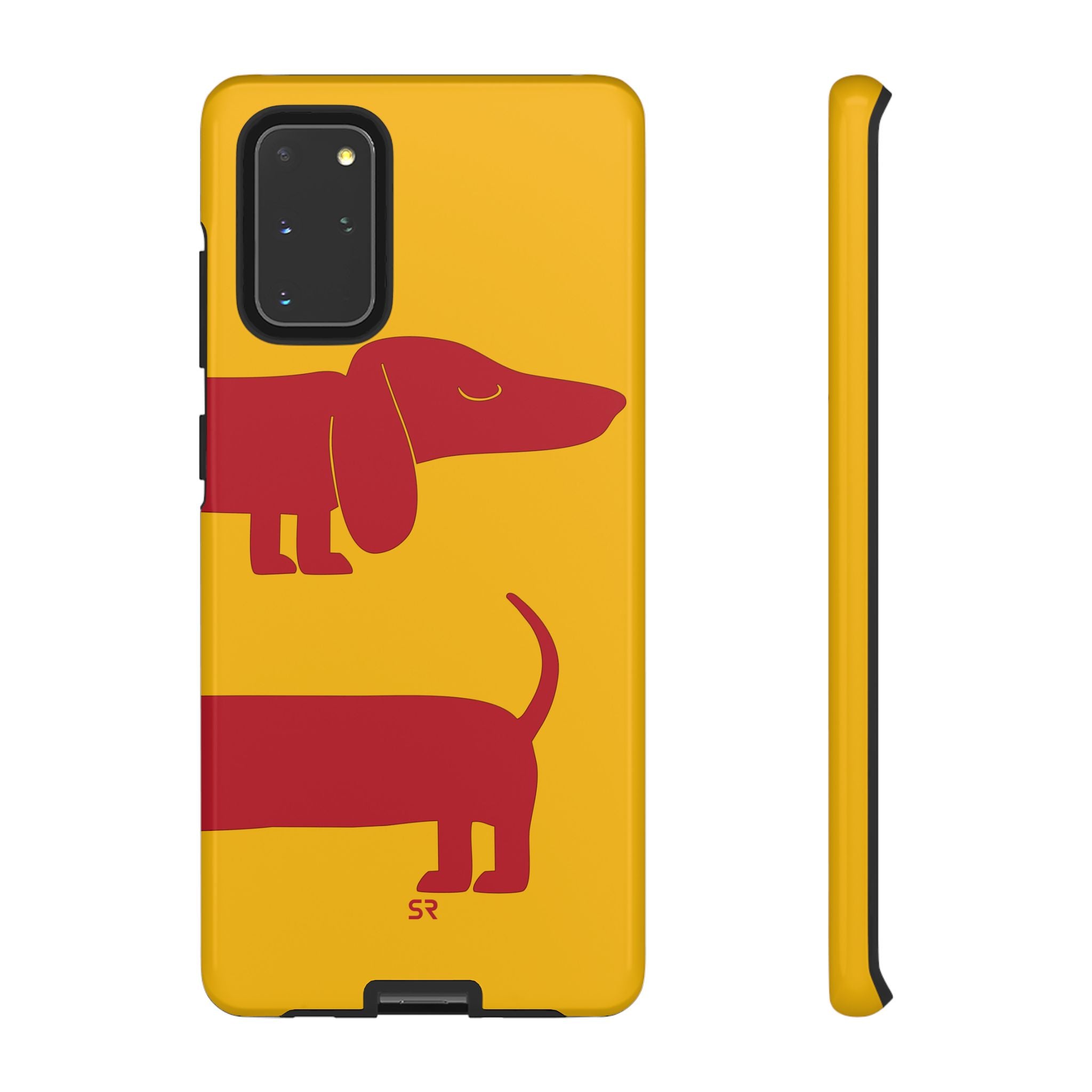 Dachshund