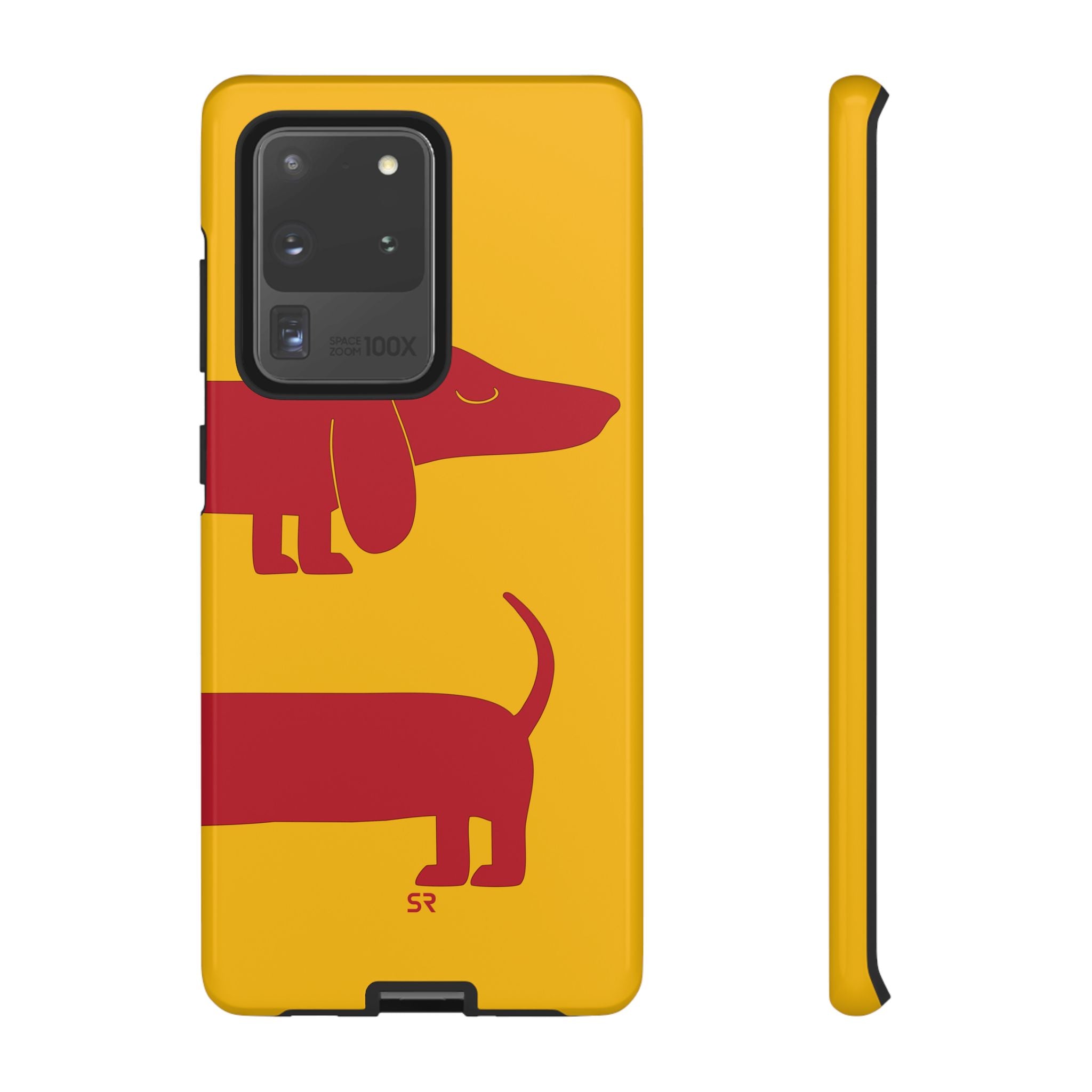 Dachshund