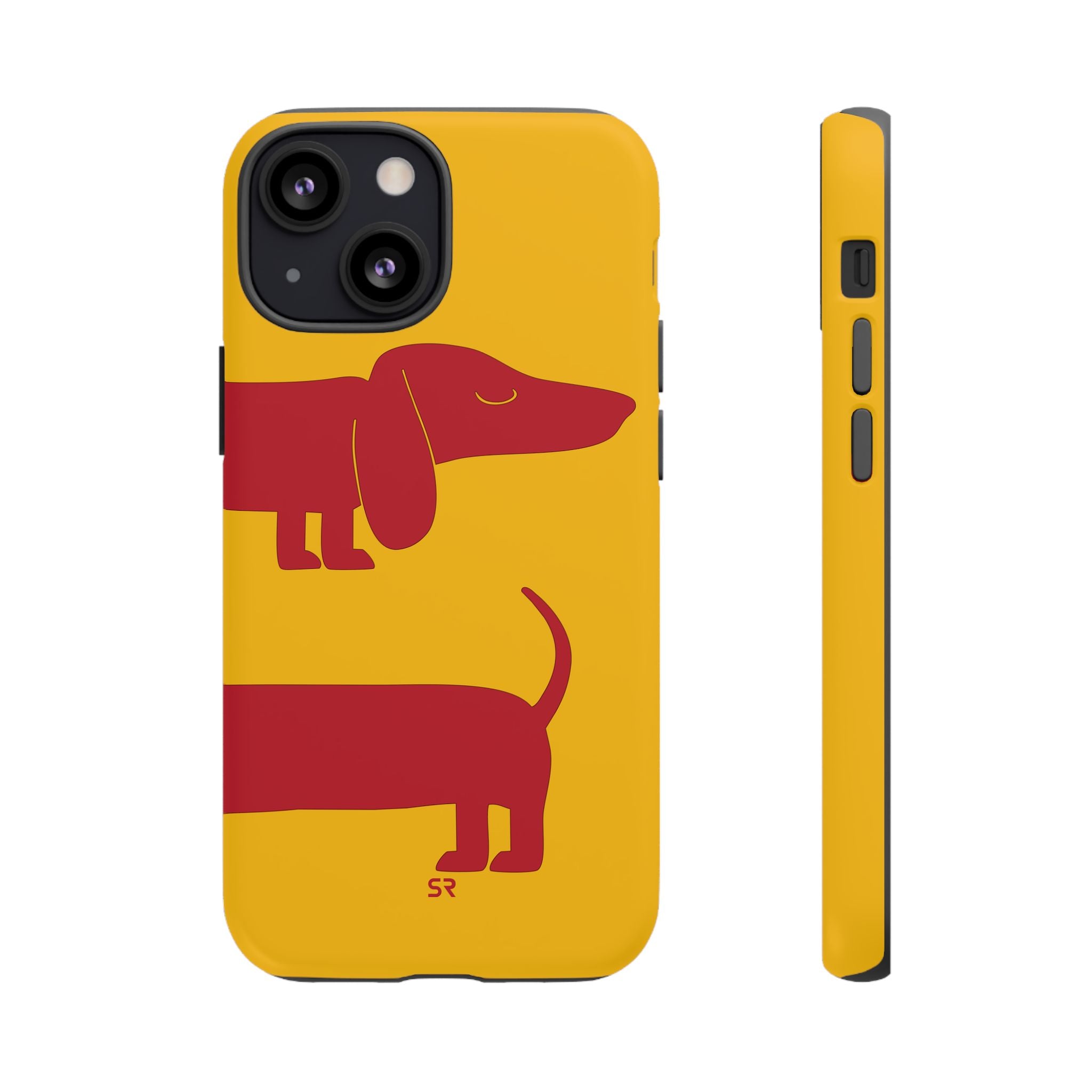 Dachshund